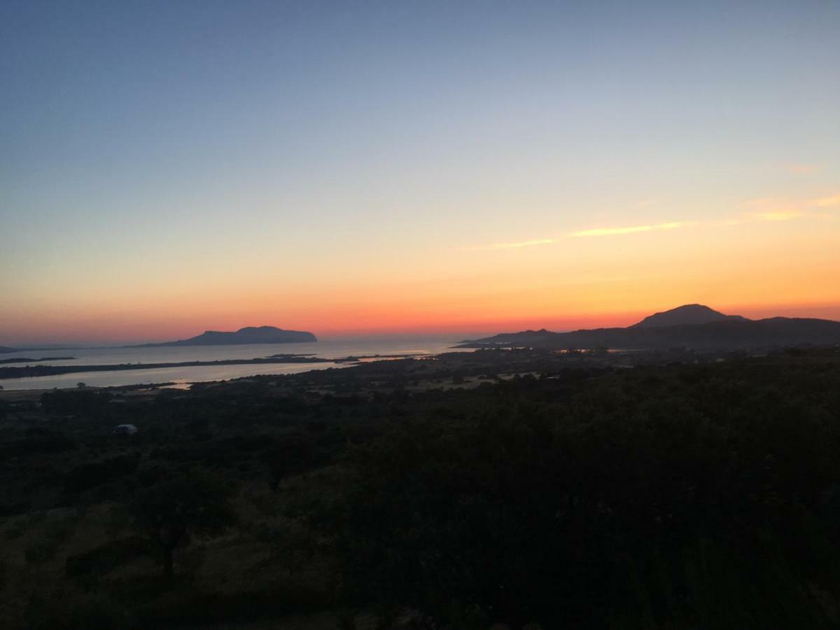 Casa Murta Maria Holiday home *
